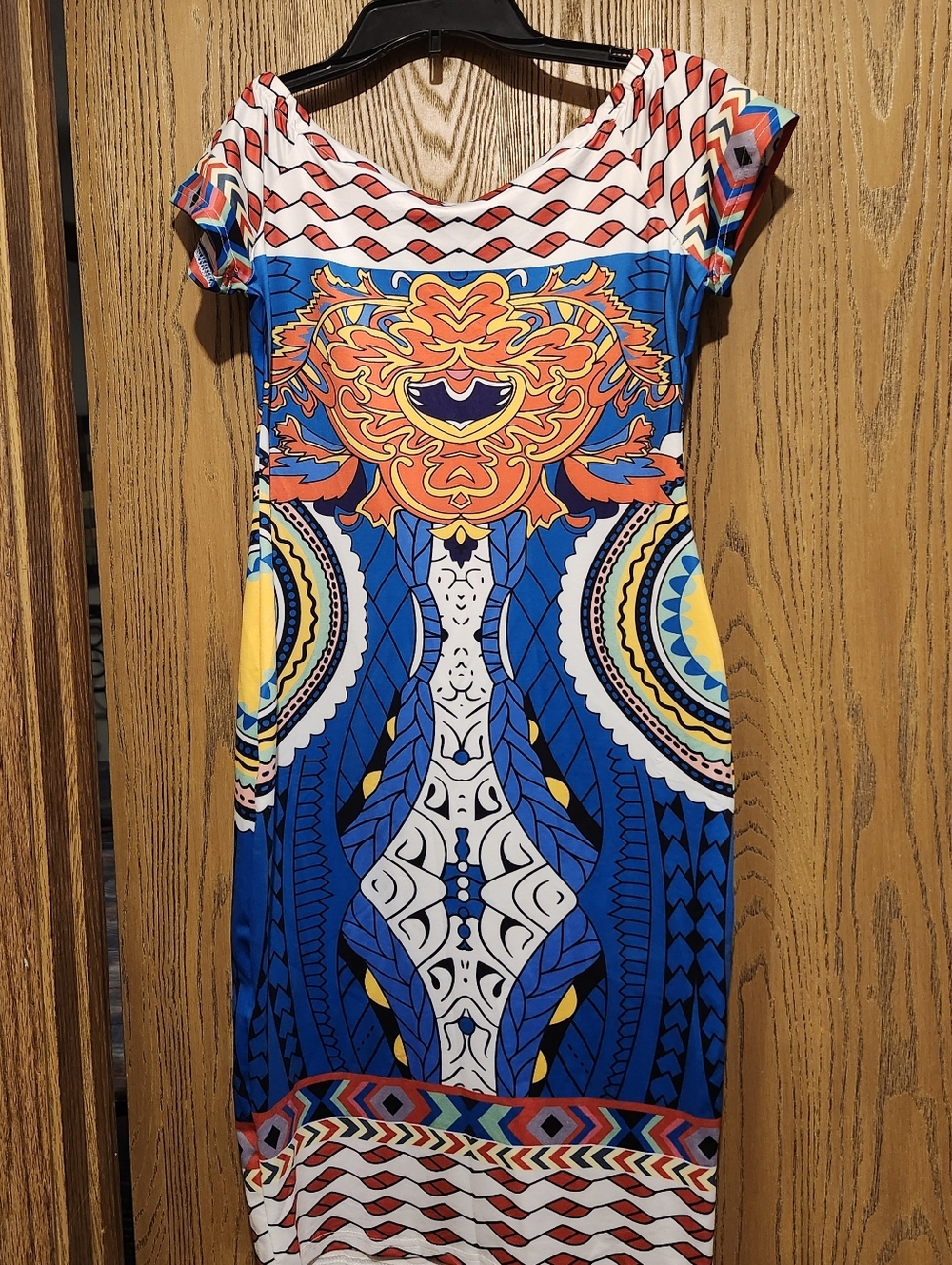 Vibrant Blue Multicolor Printed Sheath Dress